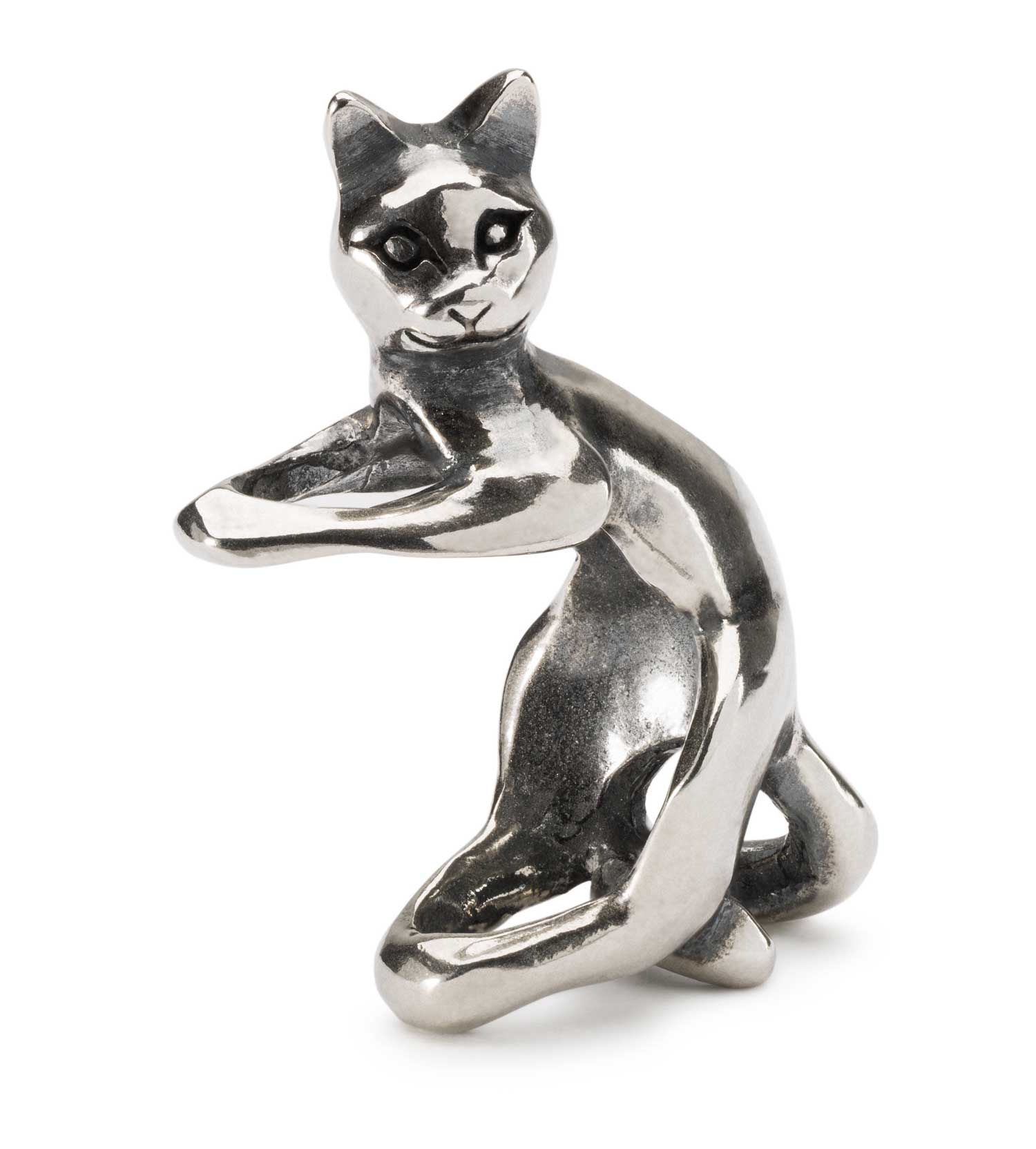 Verspielte Katze TAGBE-30153  