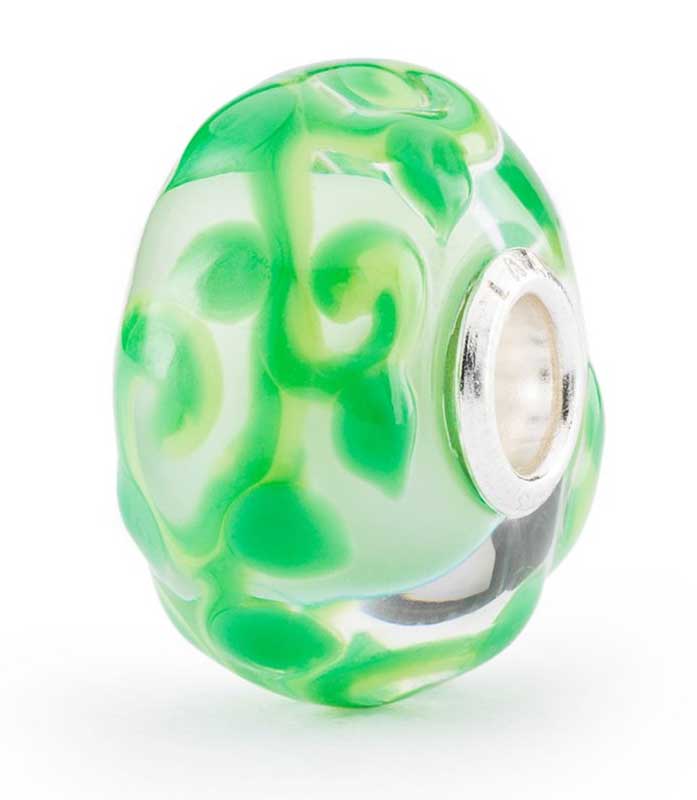 Zauberbohne TGLBE-20362