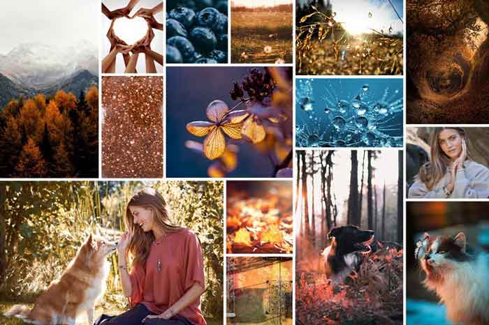 Herbst 2023  Kollektion  - "Pfötchenliebe"
