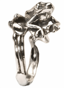 Trollbeads Ring  Baumfrosch  TAGRI 00141- 150 
