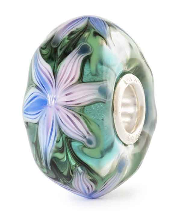 Lichtseeblüte TGLBE-20475