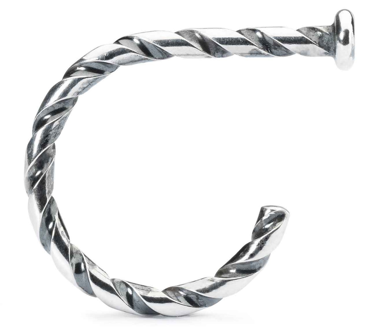 Trollbeads Twisted Ring of Change gedreht TAGRI 00391