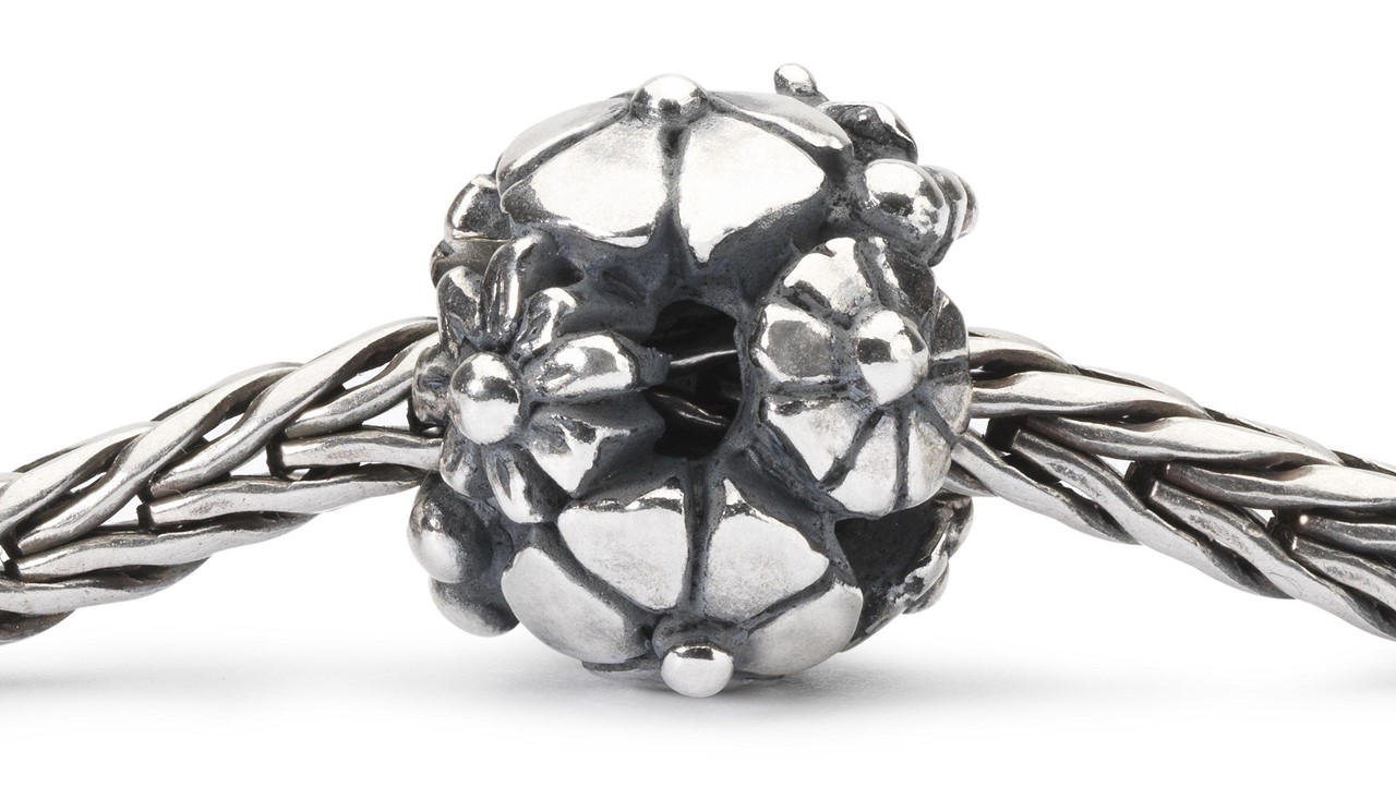 Trollbeads Vielfalt TAGBE-30145